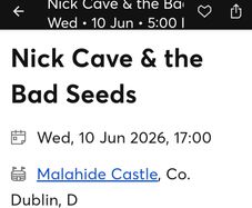 Nick Cave concert - front