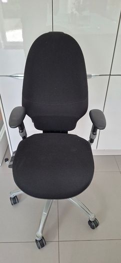 Ergonomic Office Chair