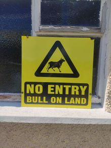 Bull Sign