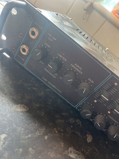 SWR STUDIO 220 vintage bass head amplifier