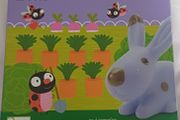 Djeco Little Association Matching Game
