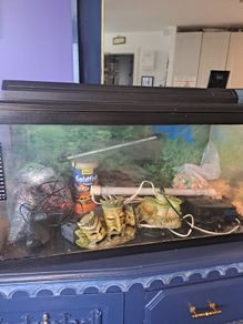 75litre Aquarium