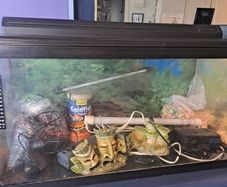 75litre Aquarium