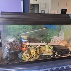 75litre Aquarium