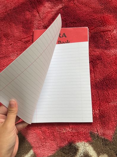 Squared and lined copy notebooks