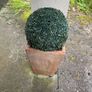 Pair of terracotta pots with artificial plants Image 3