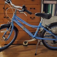 Raleigh 20" kids bike shifter doesn't work