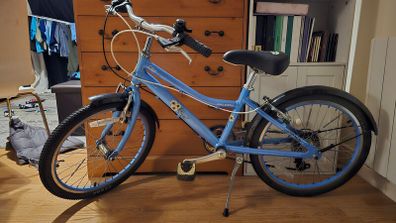 Raleigh 20" kids bike shifter doesn't work