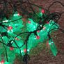 Christmas Holly LED Indoor/ Outdoor Lights Image 6