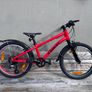Trek Wahoo 20 red Childrens Bike Image 2