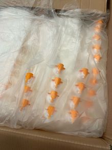 New Bag in box for juice / wine / drinks businesses