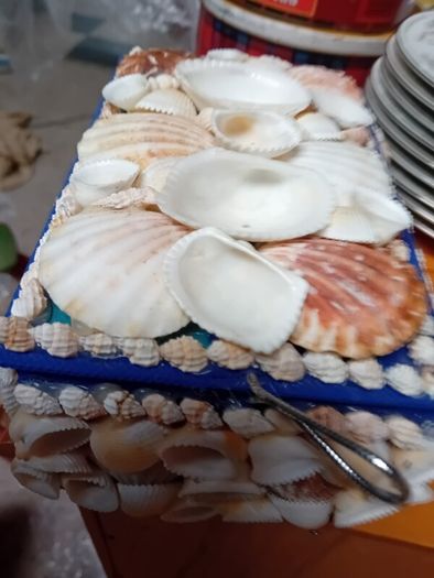 Natural Shell jewellery  box display case