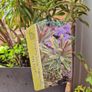 EUphorbia Image 2