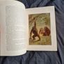 Wood's Natural History, 1893 ed. Incredible Condition. Image 10