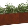 360cm Weathering Steel Raised Garden Bed Large Garden Planter Image 2