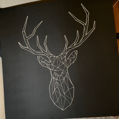 Canvas picture frame