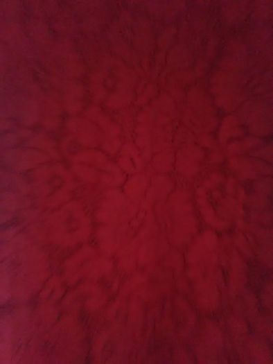 J&J Ladies red dress