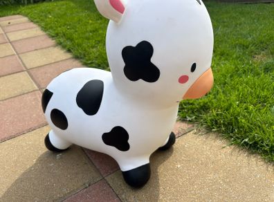 toy