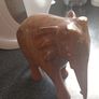 elephant Image 2