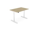 RoundE Electric Hight Adjustable Desk 1600 x 700