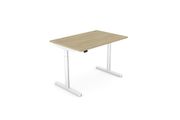 RoundE Electric Hight Adjustable Desk 1600 x 700