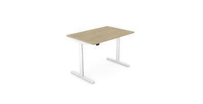 RoundE Electric Hight Adjustable Desk 1600 x 700