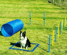 Dog Agility Set