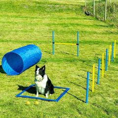 Dog Agility Set