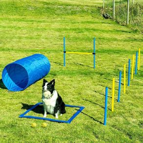Dog Agility Set
