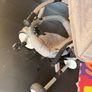 stroller Image 4