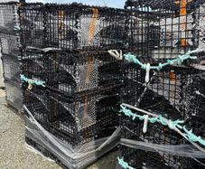 Lobster pots