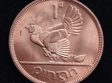Ireland - 1968 - 1 Penny - Hen with Chicks - KM.11 - [271]