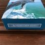 Whale + School Journal + Dolphin Notecards Image 10