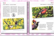 2010 Jersey (Channel Islands) Stamp Year Book (softback) issued by Jersey Post with 20 images of contents