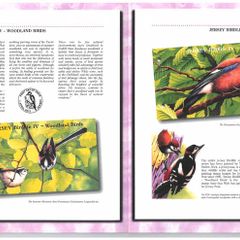 2010 Jersey (Channel Islands) Stamp Year Book (softback) issued by Jersey Post with 20 images of contents