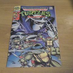 Teenage Mutant Ninja Turtles Adventures #1