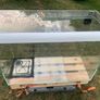 fish tank opti white glass Image 9