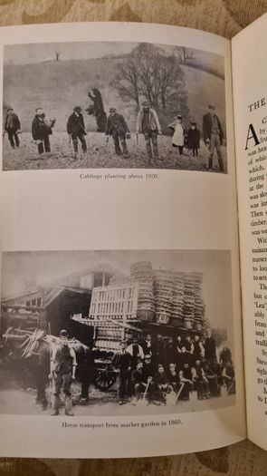 The Early Horticulturists. By Ronald Webber. Printed By David & Charles Newton Abbot. Vintage 1968 Hardback In Good Condition.