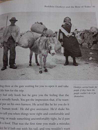 Book. Yesterday's Ireland.