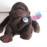 Vintage Planet Hollywood George the Gorilla beanie 1997 Image 3