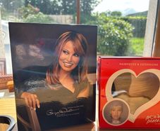 As new Raquel Welch Wig & Ellen Willie Hair Halo