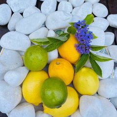 Stone decorative