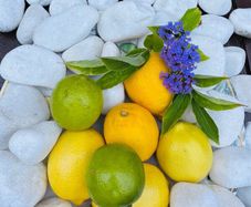 Stone decorative