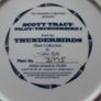 Collectable Thunderbirds Plate - Scott Tracy Pilot Image 5