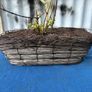 Wicker window box with ivy shrub Image 5