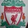 Liverpool Cast Metal hand painted shield Image 2