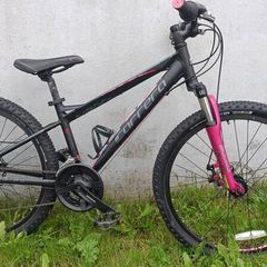 Carrera Luna Child MTB (Age 7-12)