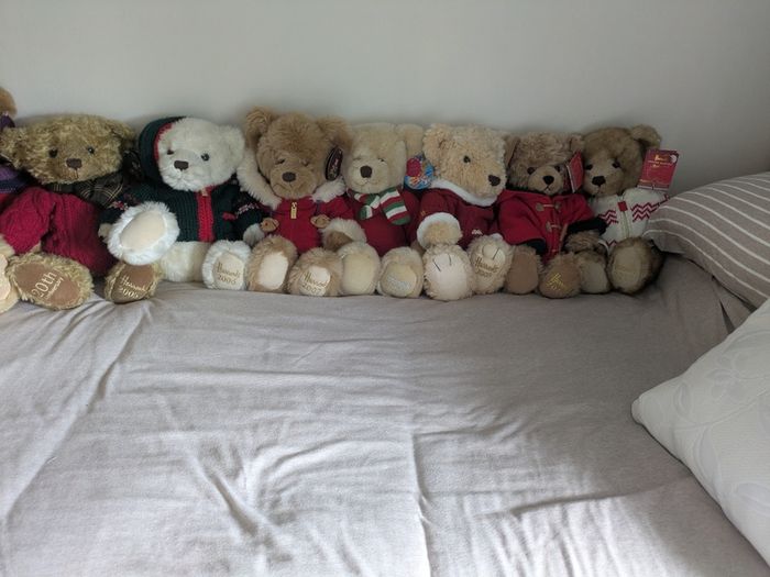 Teddy