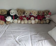 Teddy