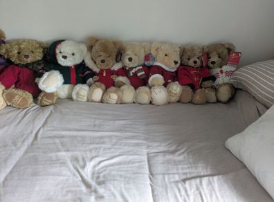 Teddy